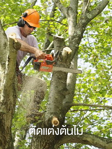 Nemo quaerat nam beatae iusto minima vel